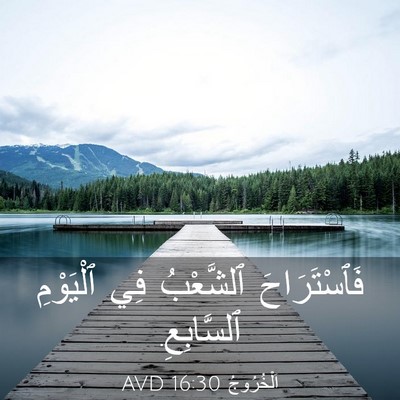 Picture 03 - اَلْخُرُوجُ 16:30 AVD - فَٱسْتَرَاحَ ٱلشَّعْبُ - Bible Verse Picture
