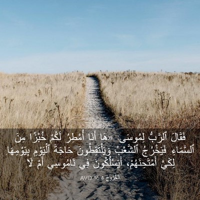Picture 03 - اَلْخُرُوجُ 16:4 AVD - فَقَالَ ٱلرَّبُّ لِمُوسَى: - Bible Verse Picture