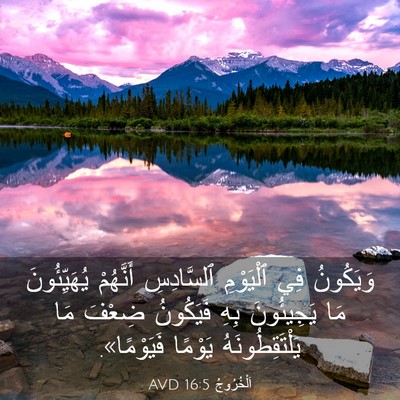 Picture 03 - اَلْخُرُوجُ 16:5 AVD - وَيَكُونُ فِي ٱلْيَوْمِ - Bible Verse Picture
