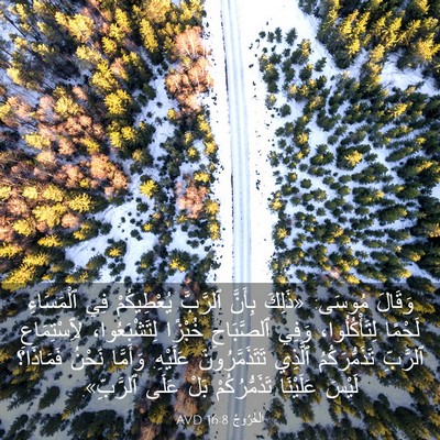 Picture 03 - اَلْخُرُوجُ 16:8 AVD - وَقَالَ مُوسَى: «ذَلِكَ - Bible Verse Picture