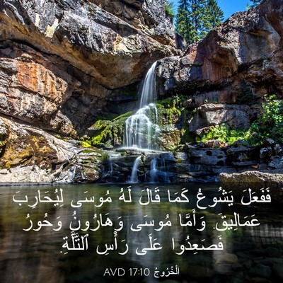 Picture 03 - اَلْخُرُوجُ 17:10 AVD - فَفَعَلَ يَشُوعُ كَمَا - Bible Verse Picture