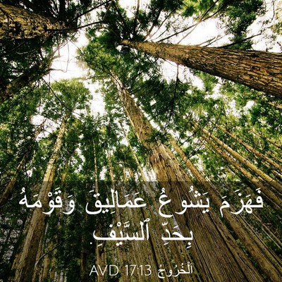 Picture 03 - اَلْخُرُوجُ 17:13 AVD - فَهَزَمَ يَشُوعُ - Bible Verse Picture