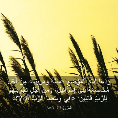 Picture 03 - اَلْخُرُوجُ 17:7 AVD - وَدَعَا ٱسْمَ ٱلْمَوْضِعِ - Bible Verse Picture