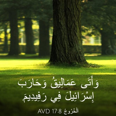 Picture 03 - اَلْخُرُوجُ 17:8 AVD - وَأَتَى عَمَالِيقُ - Bible Verse Picture
