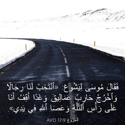 Picture 03 - اَلْخُرُوجُ 17:9 AVD - فَقَالَ مُوسَى لِيَشُوعَ: - Bible Verse Picture