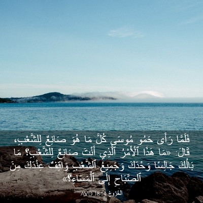 Picture 03 - اَلْخُرُوجُ 18:14 AVD - فَلَمَّا رَأَى حَمُو - Bible Verse Picture