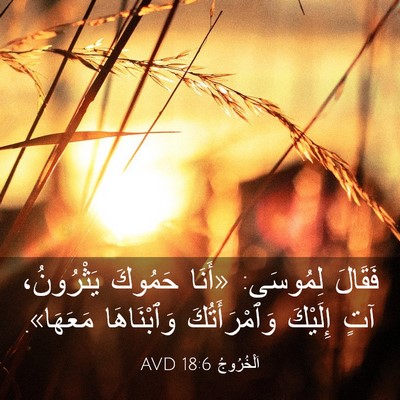Picture 03 - اَلْخُرُوجُ 18:6 AVD - فَقَالَ لِمُوسَى: «أَنَا - Bible Verse Picture