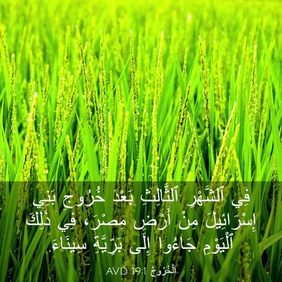 Picture 03 - اَلْخُرُوجُ 19:1 AVD - فِي ٱلشَّهْرِ ٱلثَّالِثِ - Bible Verse Picture