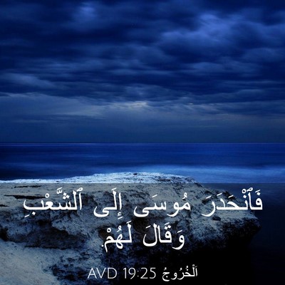 Picture 03 - اَلْخُرُوجُ 19:25 AVD - فَٱنْحَدَرَ مُوسَى إِلَى - Bible Verse Picture