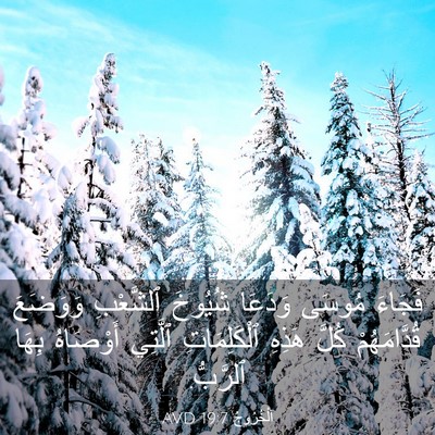 Picture 03 - اَلْخُرُوجُ 19:7 AVD - فَجَاءَ مُوسَى وَدَعَا - Bible Verse Picture