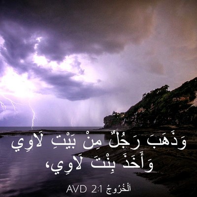 Picture 03 - اَلْخُرُوجُ 2:1 AVD - وَذَهَبَ رَجُلٌ مِنْ - Bible Verse Picture