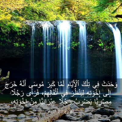 Picture 03 - اَلْخُرُوجُ 2:11 AVD - وَحَدَثَ فِي تِلْكَ - Bible Verse Picture