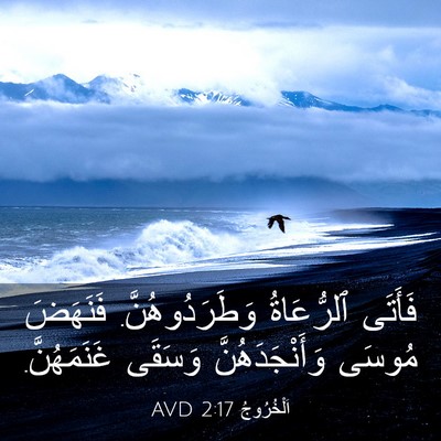 Picture 03 - اَلْخُرُوجُ 2:17 AVD - فَأَتَى ٱلرُّعَاةُ - Bible Verse Picture