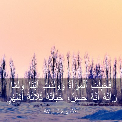 Picture 03 - اَلْخُرُوجُ 2:2 AVD - فَحَبِلَتِ ٱلْمَرْأَةُ - Bible Verse Picture