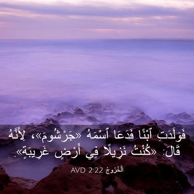 Picture 03 - اَلْخُرُوجُ 2:22 AVD - فَوَلَدَتِ ٱبْنًا فَدَعَا - Bible Verse Picture