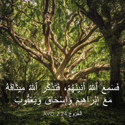 Picture 03 - اَلْخُرُوجُ 2:24 AVD - فَسَمِعَ ٱللهُ - Bible Verse Picture