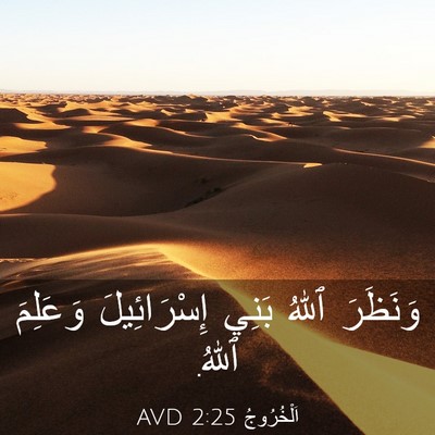Picture 03 - اَلْخُرُوجُ 2:25 AVD - وَنَظَرَ ٱللهُ بَنِي - Bible Verse Picture