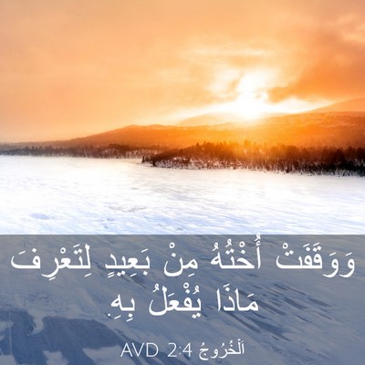 Picture 03 - اَلْخُرُوجُ 2:4 AVD - وَوَقَفَتْ أُخْتُهُ مِنْ - Bible Verse Picture