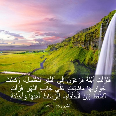 Picture 03 - اَلْخُرُوجُ 2:5 AVD - فَنَزَلَتِ ٱبْنَةُ - Bible Verse Picture