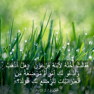 Picture 03 - اَلْخُرُوجُ 2:7 AVD - فَقَالَتْ أُخْتُهُ - Bible Verse Picture