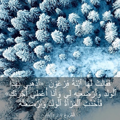 Picture 03 - اَلْخُرُوجُ 2:9 AVD - فَقَالَتْ لَهَا ٱبْنَةُ - Bible Verse Picture