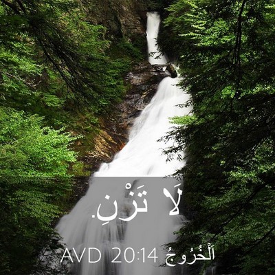Picture 03 - اَلْخُرُوجُ 20:14 AVD - لَا - Bible Verse Picture