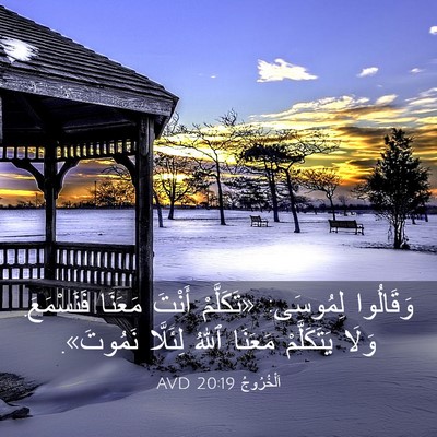 Picture 03 - اَلْخُرُوجُ 20:19 AVD - وَقَالُوا لِمُوسَى: - Bible Verse Picture