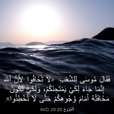 Picture 03 - اَلْخُرُوجُ 20:20 AVD - فَقَالَ مُوسَى لِلشَّعْبِ: - Bible Verse Picture