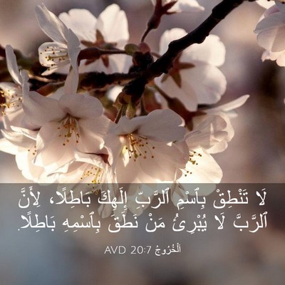 Picture 03 - اَلْخُرُوجُ 20:7 AVD - لَا تَنْطِقْ بِٱسْمِ - Bible Verse Picture