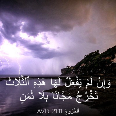 Picture 03 - اَلْخُرُوجُ 21:11 AVD - وَإِنْ لَمْ يَفْعَلْ لَهَا - Bible Verse Picture