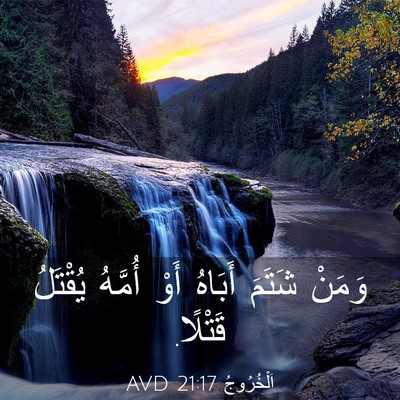 Picture 03 - اَلْخُرُوجُ 21:17 AVD - وَمَنْ شَتَمَ أَبَاهُ أَوْ - Bible Verse Picture