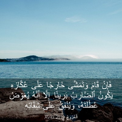 Picture 03 - اَلْخُرُوجُ 21:19 AVD - فَإِنْ قَامَ وَتَمَشَّى - Bible Verse Picture