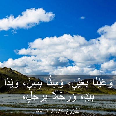 Picture 03 - اَلْخُرُوجُ 21:24 AVD - وَعَيْنًا بِعَيْنٍ، - Bible Verse Picture