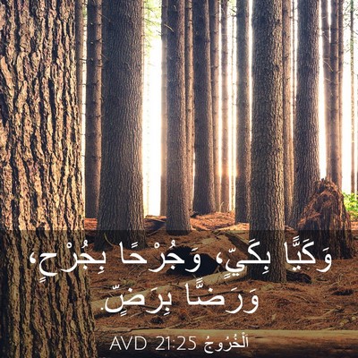 Picture 03 - اَلْخُرُوجُ 21:25 AVD - وَكَيًّا بِكَيٍّ، - Bible Verse Picture