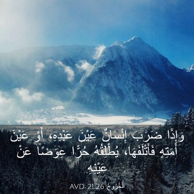 Picture 03 - اَلْخُرُوجُ 21:26 AVD - وَإِذَا ضَرَبَ إِنْسَانٌ - Bible Verse Picture