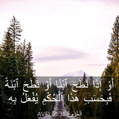 Picture 03 - اَلْخُرُوجُ 21:31 AVD - أَوْ إِذَا نَطَحَ ٱبْنًا - Bible Verse Picture