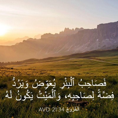 Picture 03 - اَلْخُرُوجُ 21:34 AVD - فَصَاحِبُ ٱلْبِئْرِ - Bible Verse Picture