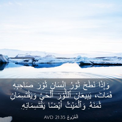 Picture 03 - اَلْخُرُوجُ 21:35 AVD - وَإِذَا نَطَحَ ثَوْرُ - Bible Verse Picture