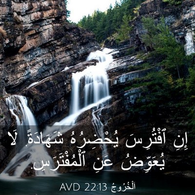 Picture 03 - اَلْخُرُوجُ 22:13 AVD - إِنِ ٱفْتُرِسَ يُحْضِرُهُ - Bible Verse Picture