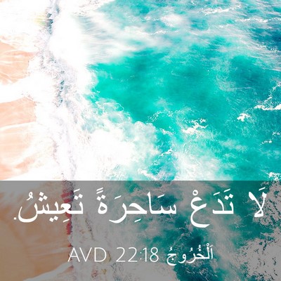 Picture 03 - اَلْخُرُوجُ 22:18 AVD - لَا تَدَعْ سَاحِرَةً - Bible Verse Picture