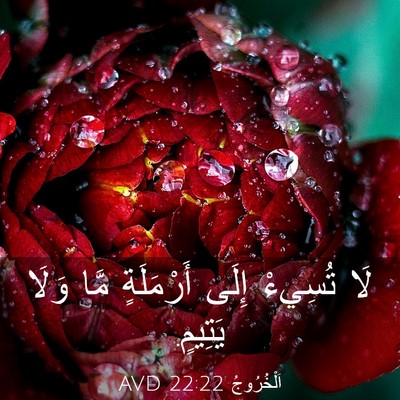 Picture 03 - اَلْخُرُوجُ 22:22 AVD - لَا تُسِيءْ إِلَى - Bible Verse Picture