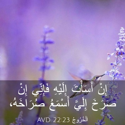 Picture 03 - اَلْخُرُوجُ 22:23 AVD - إِنْ أَسَأْتَ إِلَيْهِ - Bible Verse Picture