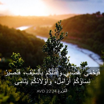 Picture 03 - اَلْخُرُوجُ 22:24 AVD - فَيَحْمَى غَضَبِي - Bible Verse Picture