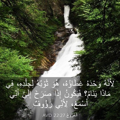 Picture 03 - اَلْخُرُوجُ 22:27 AVD - لِأَنَّهُ وَحْدَهُ - Bible Verse Picture