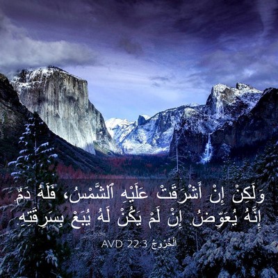 Picture 03 - اَلْخُرُوجُ 22:3 AVD - وَلَكِنْ إِنْ أَشْرَقَتْ - Bible Verse Picture