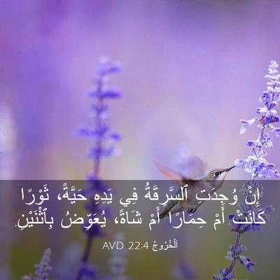 Picture 03 - اَلْخُرُوجُ 22:4 AVD - إِنْ وُجِدَتِ ٱلسَّرِقَةُ - Bible Verse Picture