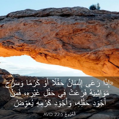 Picture 03 - اَلْخُرُوجُ 22:5 AVD - «إِذَا رَعَى إِنْسَانٌ - Bible Verse Picture