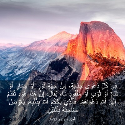 Picture 03 - اَلْخُرُوجُ 22:9 AVD - فِي كُلِّ دَعْوَى - Bible Verse Picture
