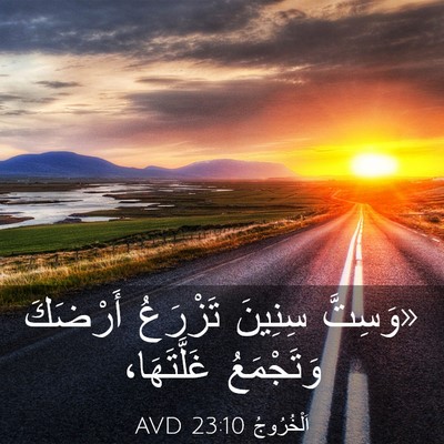 Picture 03 - اَلْخُرُوجُ 23:10 AVD - «وَسِتَّ سِنِينَ تَزْرَعُ - Bible Verse Picture