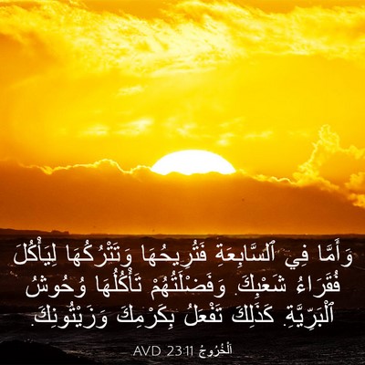 Picture 03 - اَلْخُرُوجُ 23:11 AVD - وَأَمَّا فِي ٱلسَّابِعَةِ - Bible Verse Picture